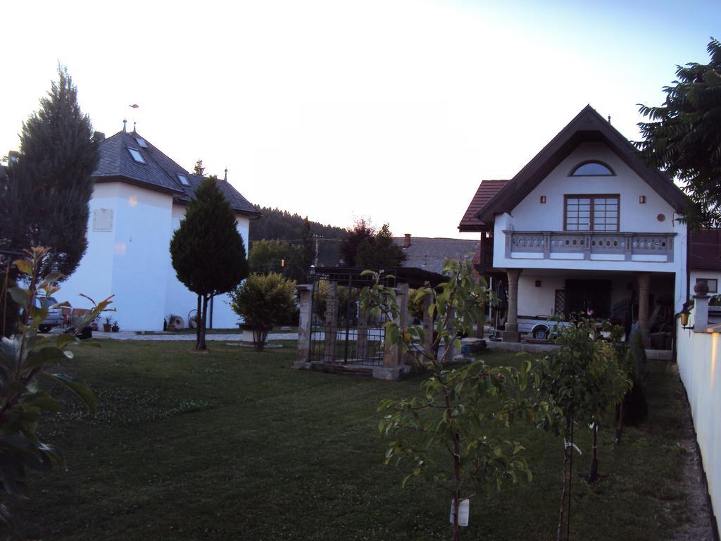 Castle Kastiel Kotesova Apartment Phòng bức ảnh